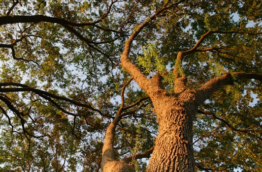 Unlock Big Wins with Golden Chips in Casinos: A Beginners Guide